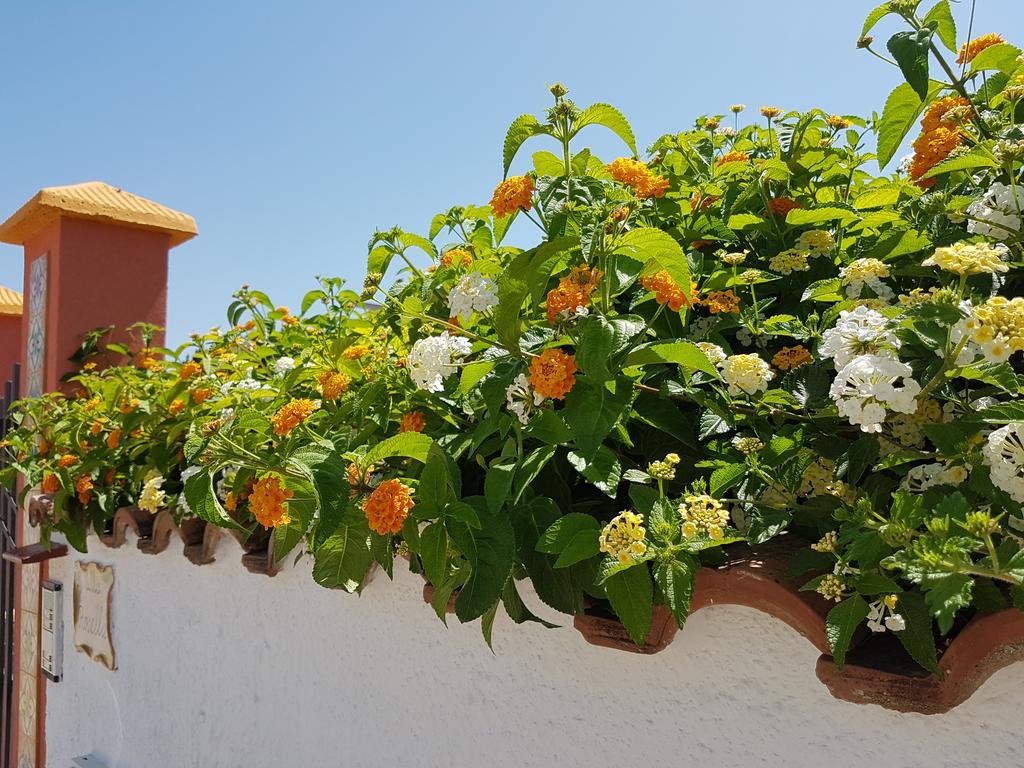 Villa Rosella Шака Екстериор снимка